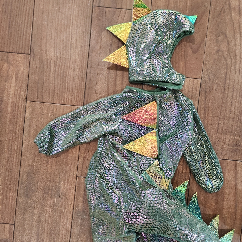 California Costumes Kid-A-Saurus Rex Halloween costume Toddler M 3t 4t - Picture 11 of 12